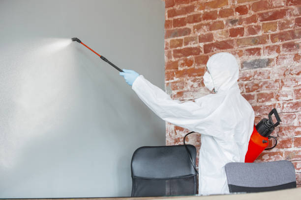 Best Air Quality Testing for Mold Spores  in Talty, TX