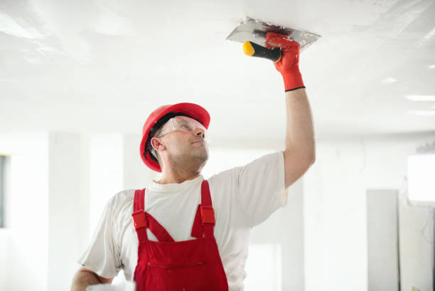 Best Mold Removal for HVAC Installations  in Talty, TX