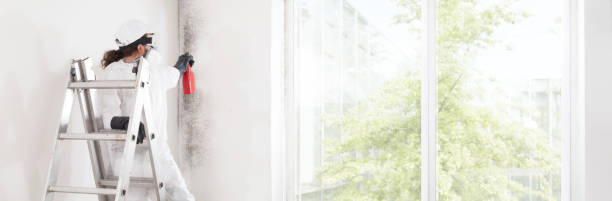 Best HVAC Mold Inspection and Cleaning  in Talty, TX